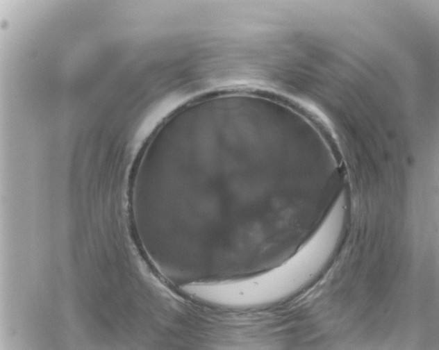 X0000066511279200603241257