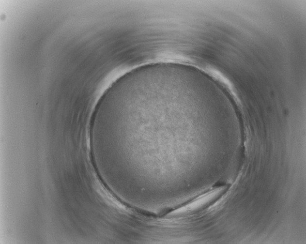 X0000066511280200603241257