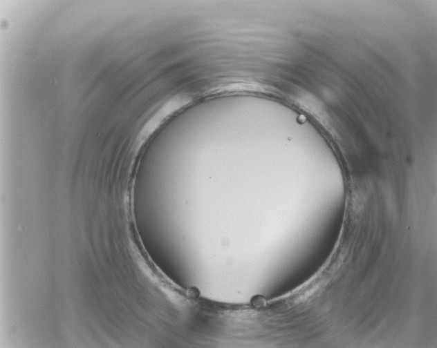 X0000066511282200603241257