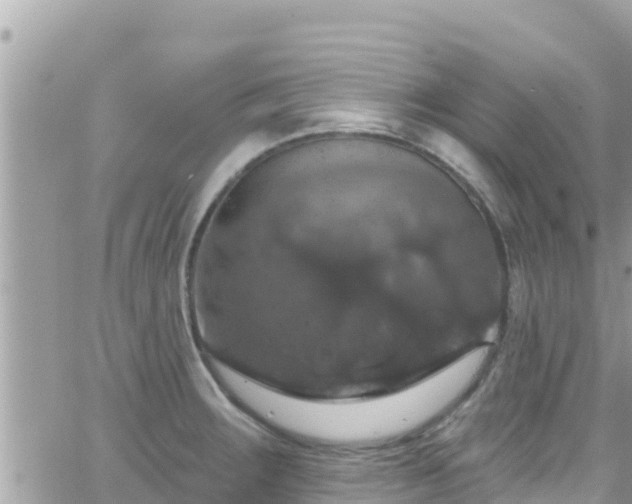 X0000066511283200603241257