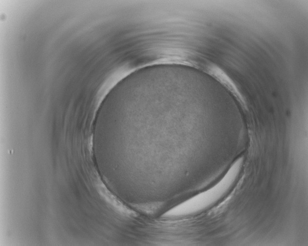 X0000066511284200603241257