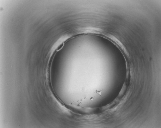 X0000066511285200603241257