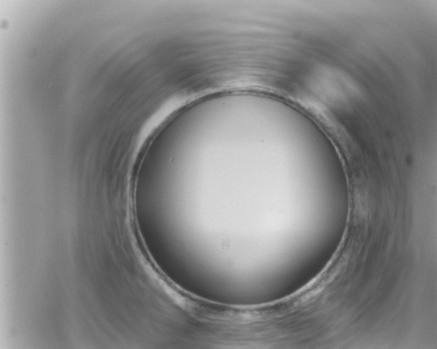 X0000066511286200603241257