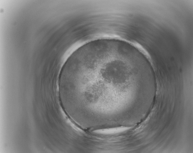 X0000066511287200603241257