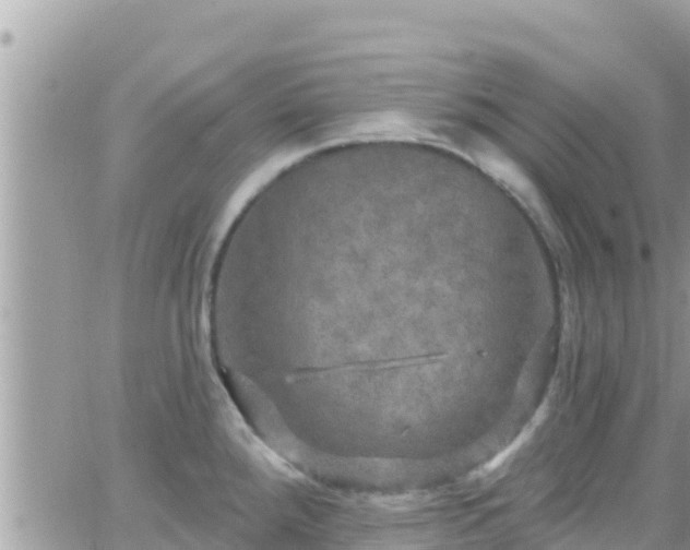 X0000066511288200603241257