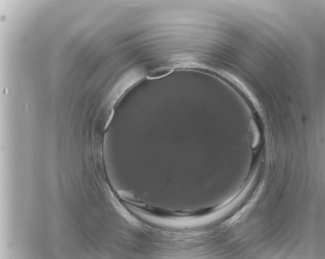 X0000066511289200603241257