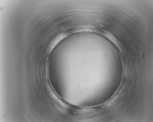 X0000066511290200603241257