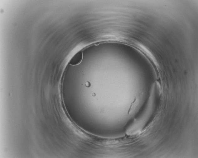 X0000066511291200603241257