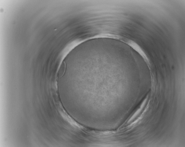 X0000066511292200603241257