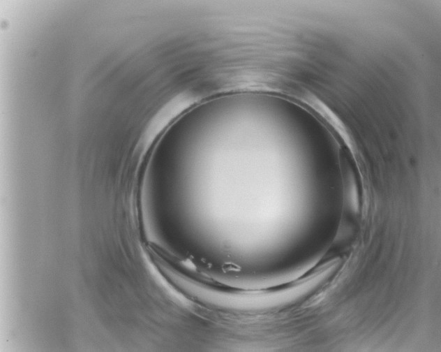 X0000066511293200603241257