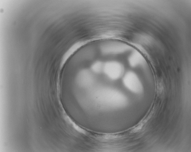 X0000066511294200603241257