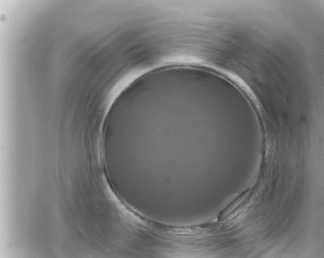 X0000066511295200603241257