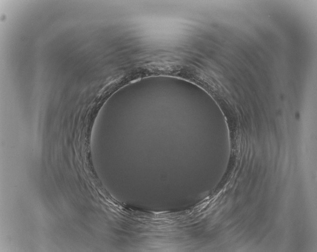 X0000066511297200603241256