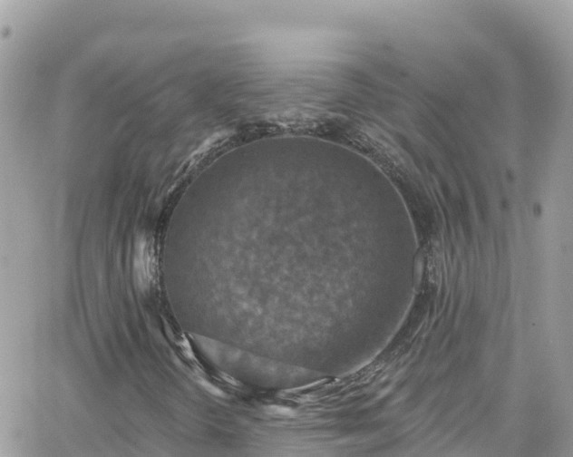 X0000066511298200603241256