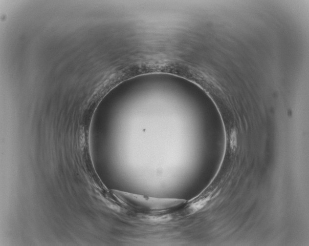 X0000066511299200603241256