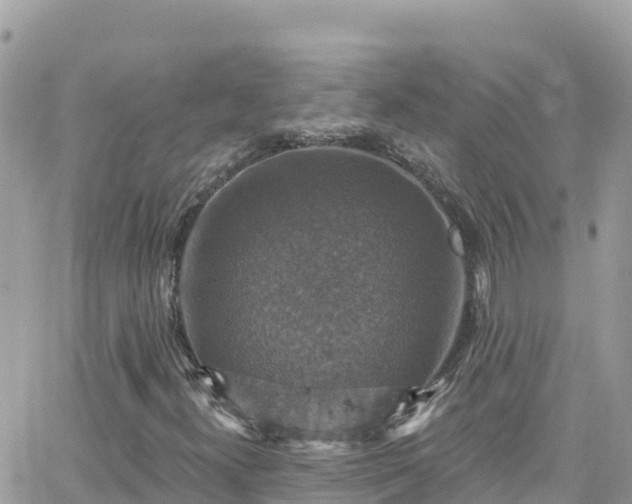 X0000066511300200603241256