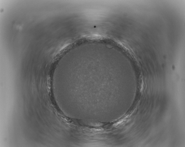 X0000066511301200603241256