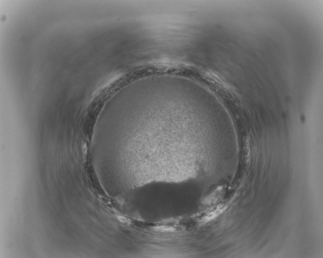 X0000066511302200603241256