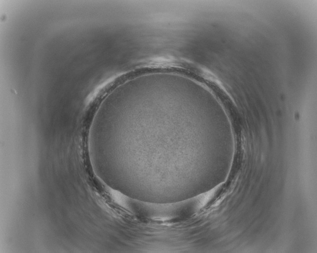 X0000066511304200603241256