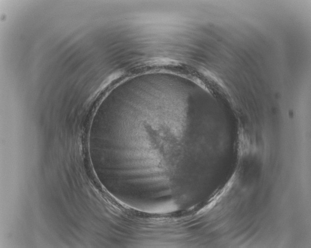 X0000066511305200603241256