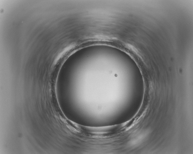 X0000066511307200603241256