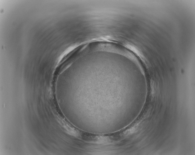 X0000066511308200603241256