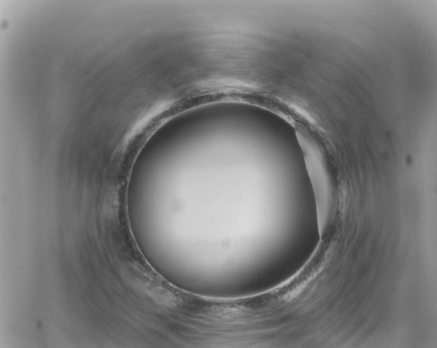 X0000066511309200603241256