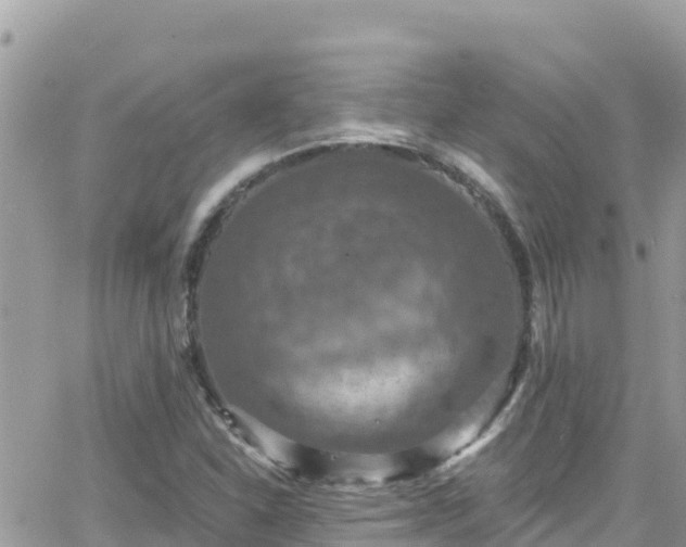 X0000066511310200603241256