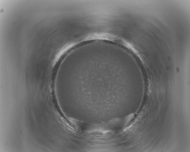 X0000066511312200603241256