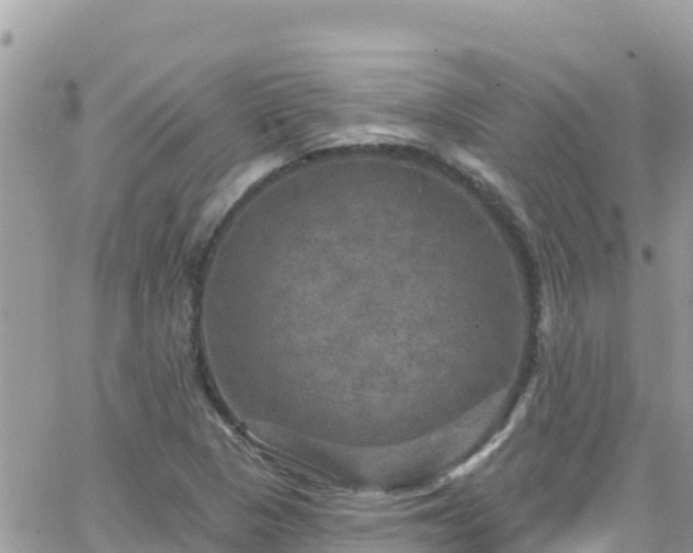 X0000066511313200603241256