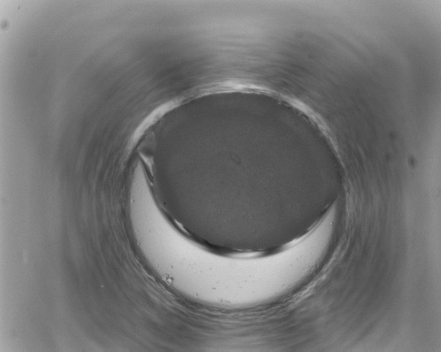 X0000066511314200603241256