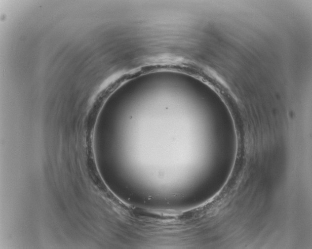 X0000066511315200603241257