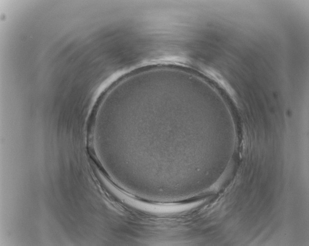 X0000066511316200603241257