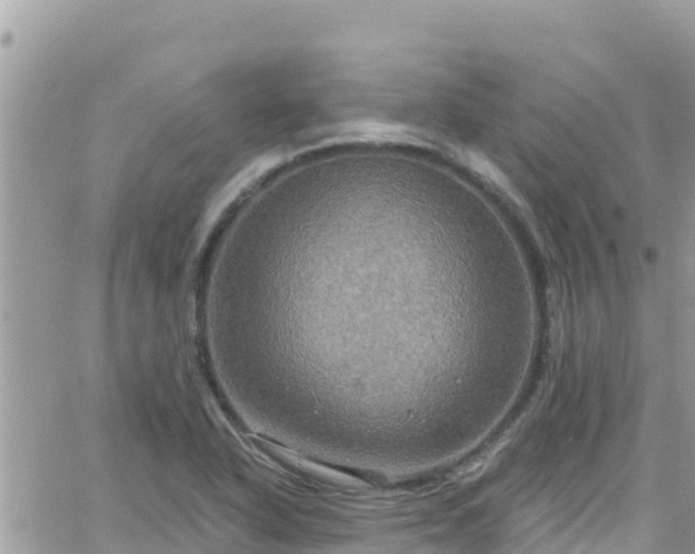 X0000066511318200603241257