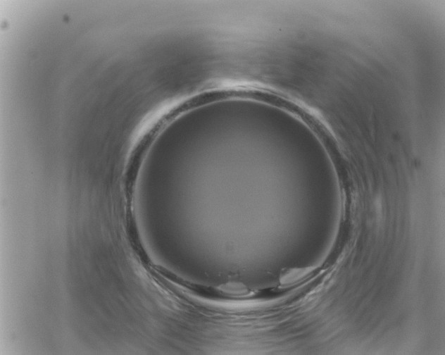 X0000066511319200603241257