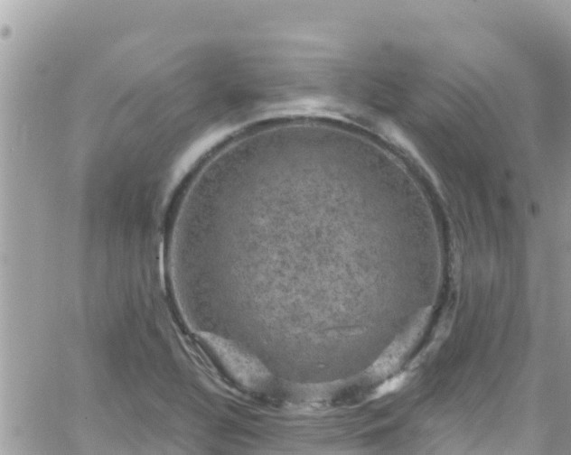 X0000066511320200603241257