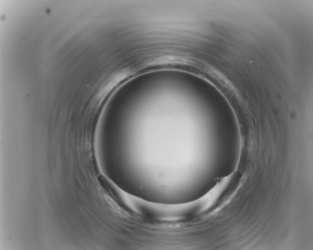 X0000066511321200603241257