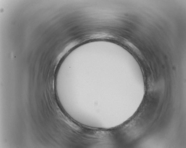 X0000066511322200603241257