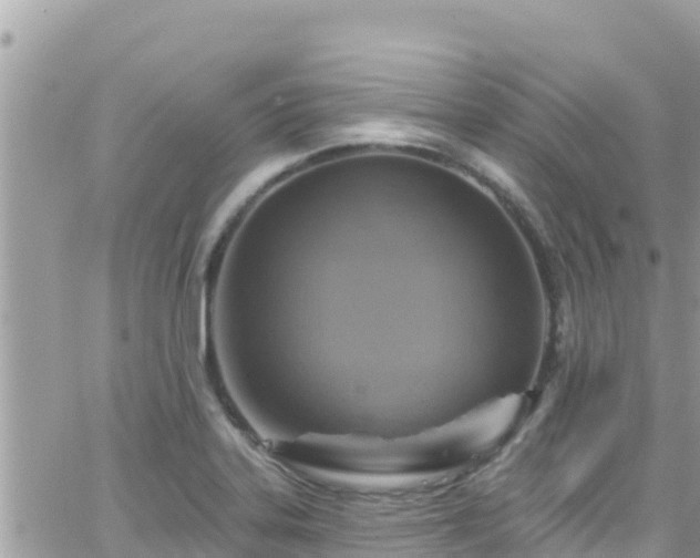 X0000066511323200603241257