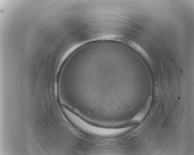 X0000066511324200603241257