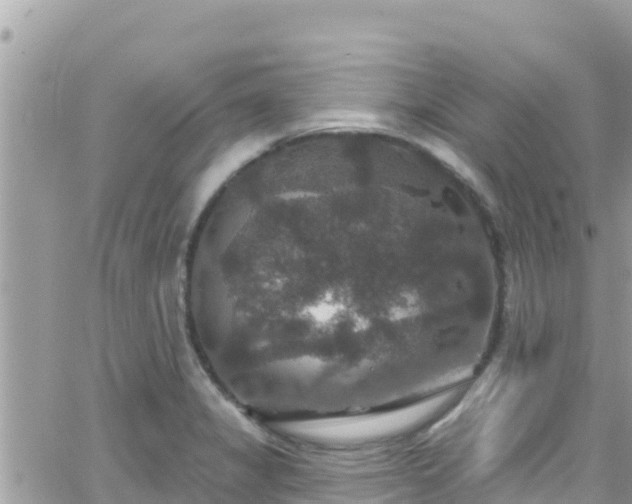 X0000066511325200603241257