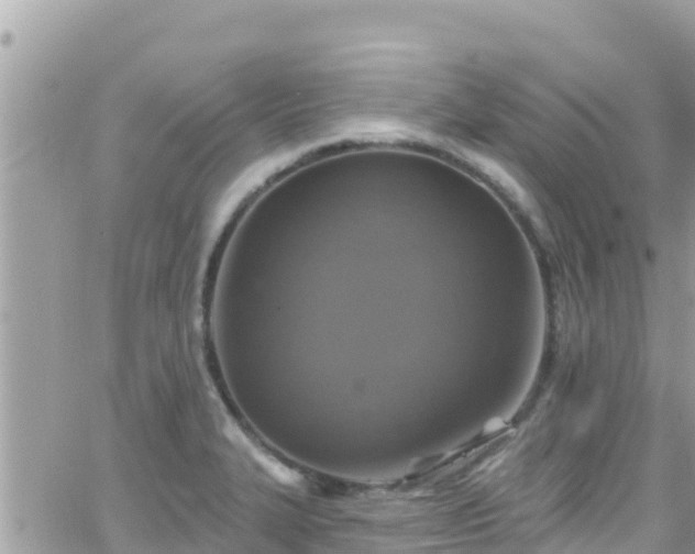 X0000066511327200603241257