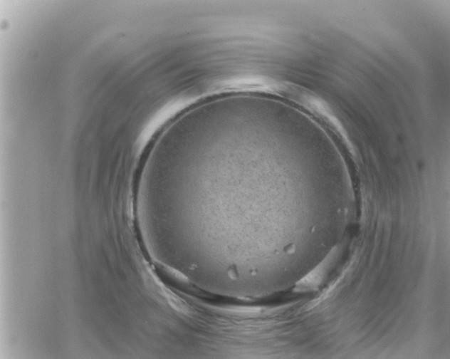 X0000066511328200603241257