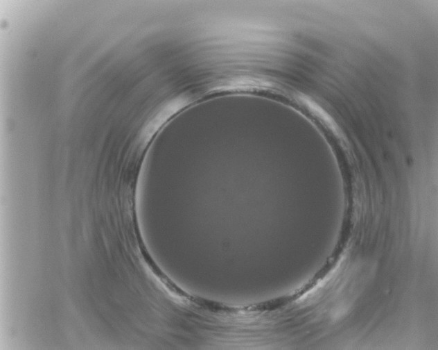 X0000066511329200603241257