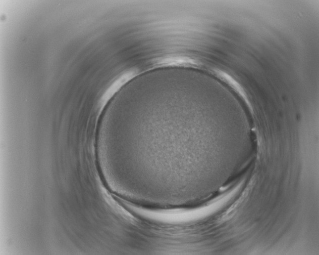 X0000066511330200603241257