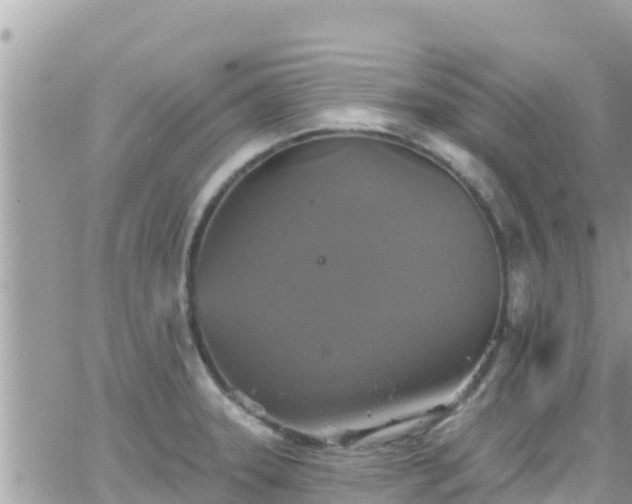 X0000066511331200603241257