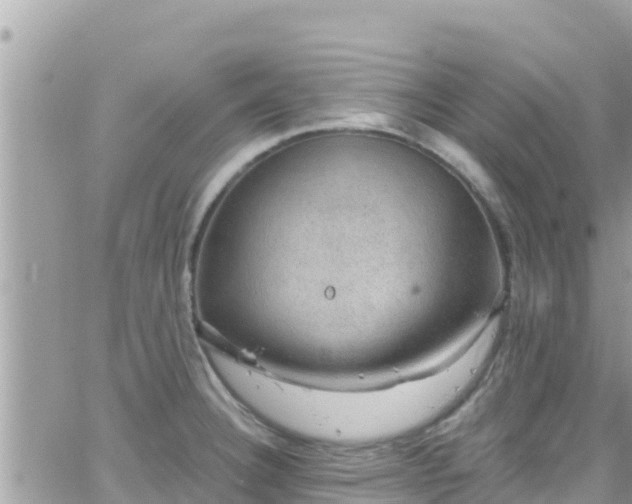 X0000066511332200603241257