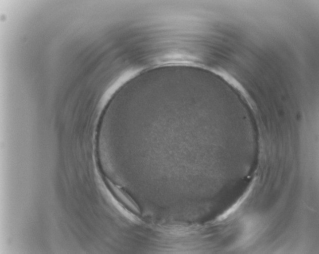 X0000066511333200603241257