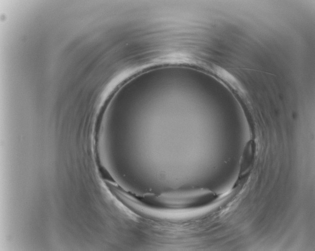 X0000066511334200603241257