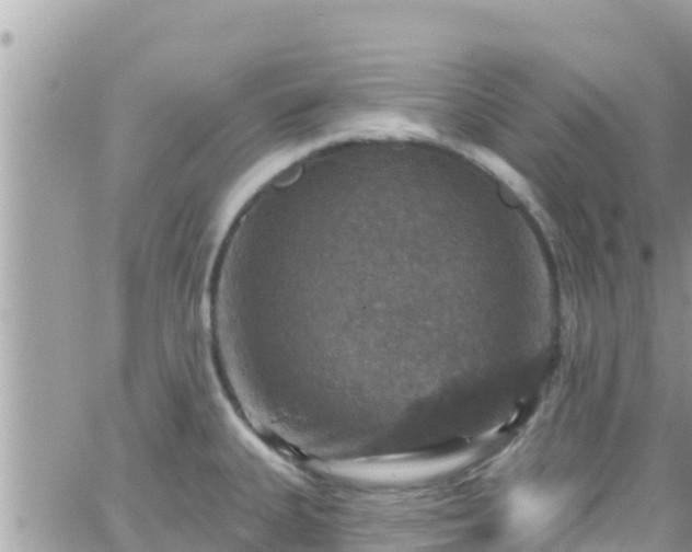 X0000066511335200603241257